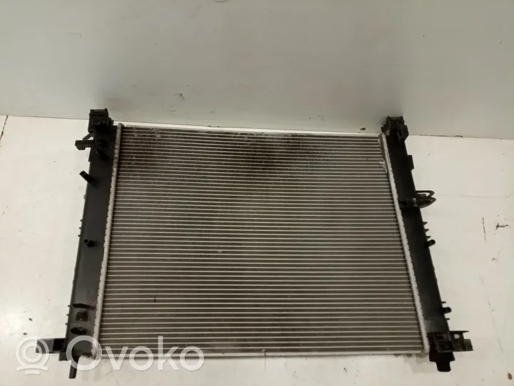 Renault Megane III Dzesēšanas šķidruma radiators 