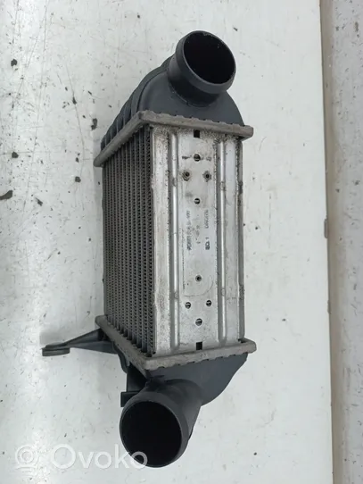 Skoda Fabia Mk1 (6Y) Radiatore intercooler 