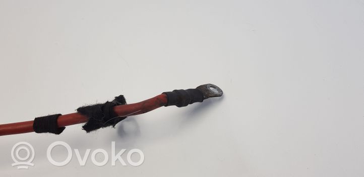 Opel Vectra C Positive cable (battery) 55354459