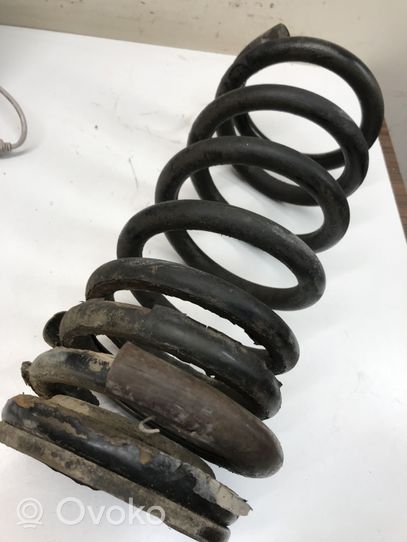 Land Rover Discovery Rear coil spring 