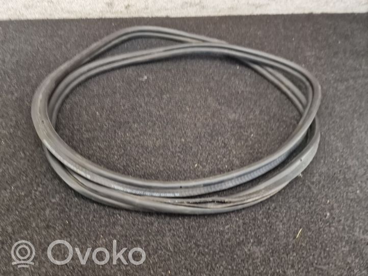 BMW 5 G30 G31 Bagažinės sandarinimo guma (ant kėbulo) 7366401