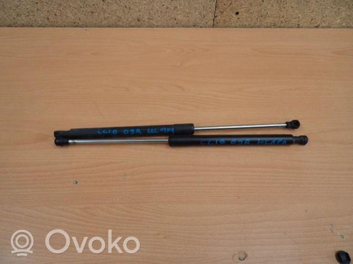 Renault Clio III Jambe de force de hayon 904515071R