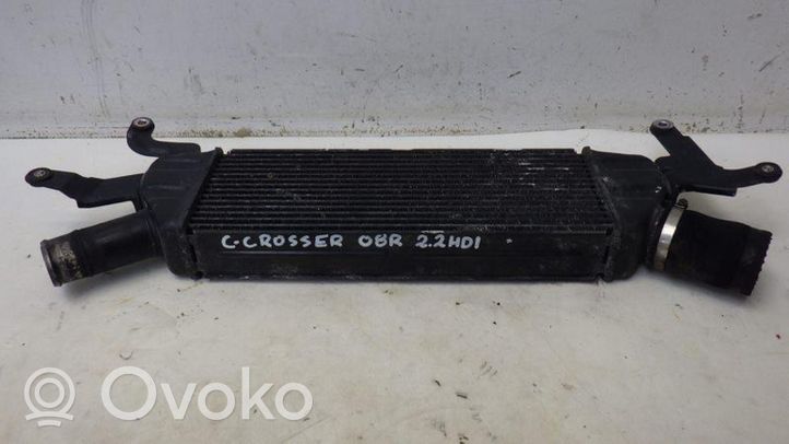 Citroen C-Crosser Radiatore intercooler 