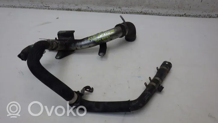 Citroen Jumper Variklio aušinimo vamzdelis (-ai)/ žarna (-os) 1379390080