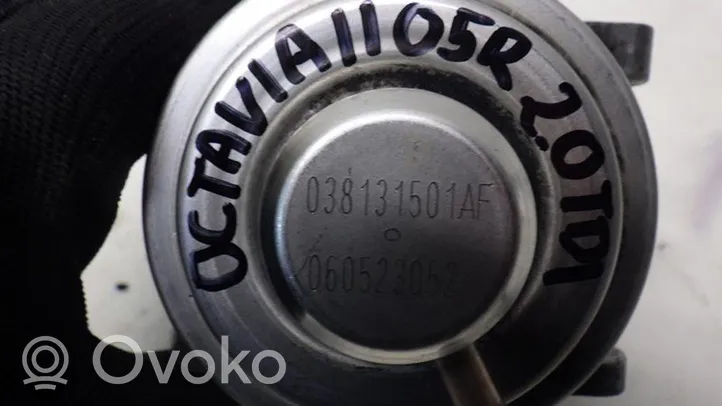 Skoda Octavia Mk2 (1Z) Valvola EGR 038131501AF