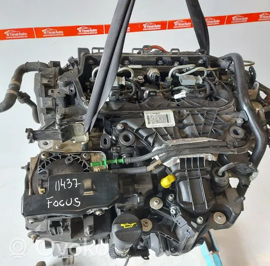 Ford Focus Silnik / Komplet TYDA