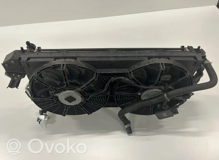 Nissan Leaf I (ZE0) Radiatore di raffreddamento 