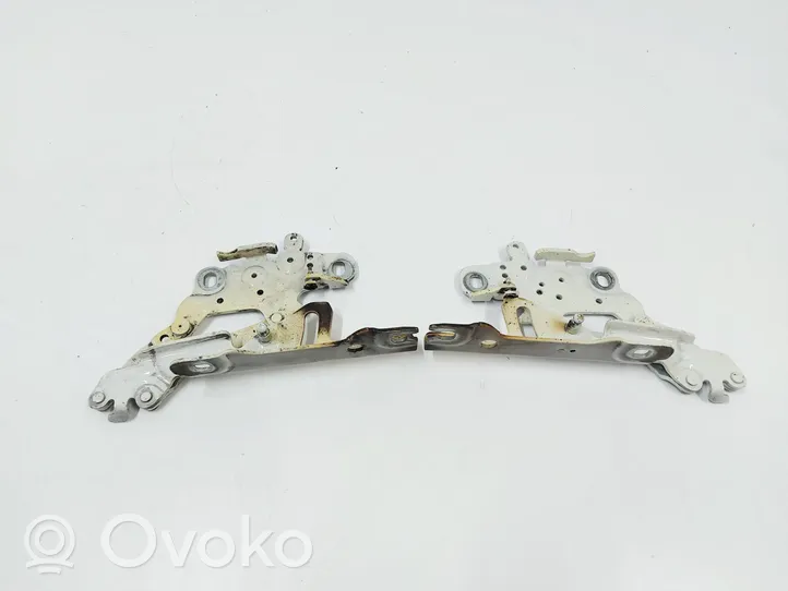 BMW 4 F32 F33 Cerniere del vano motore/cofano 