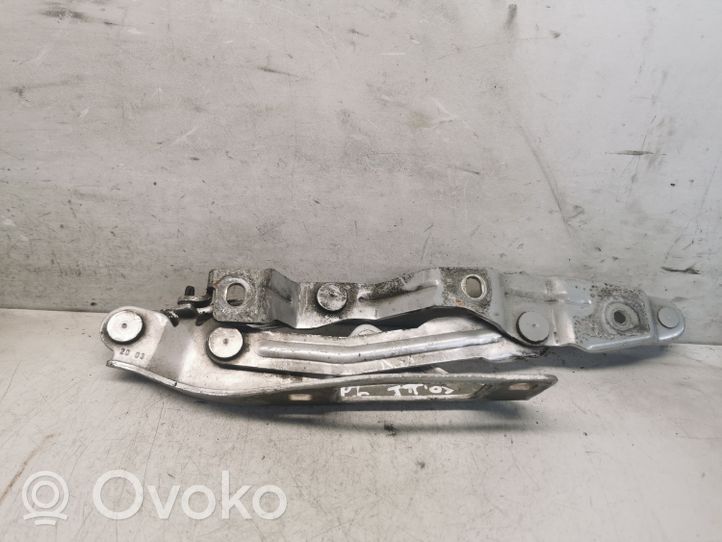 Audi TT Mk1 Cerniere del vano motore/cofano 8N0823302