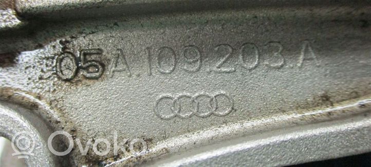 Audi Q7 4L Grandinės šliaužiklis (variklio) 05A109203A