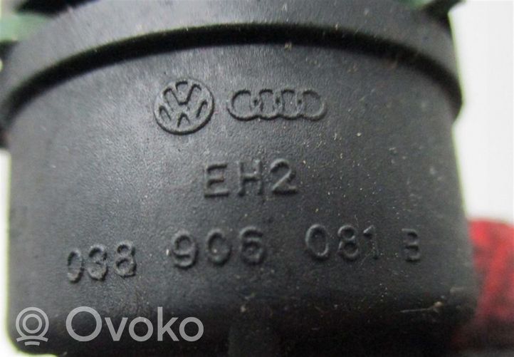 Audi A3 S3 A3 Sportback 8P Czujnik ciśnienia paliwa 038906081B