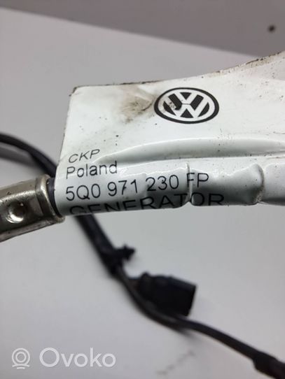 Volkswagen PASSAT B8 Wiązka alternatora 5Q0971230FP