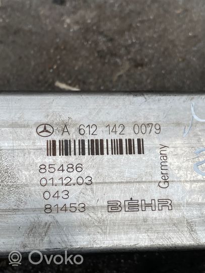 Mercedes-Benz ML W163 EGR-venttiili/lauhdutin A6121420079