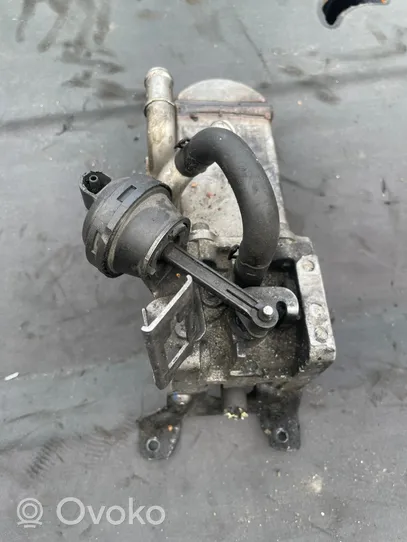 Audi A6 S6 C6 4F EGR aušintuvas 059131511