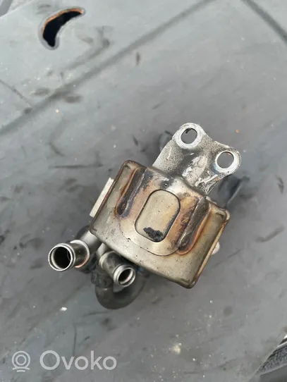 Audi A6 S6 C6 4F EGR aušintuvas 059131511