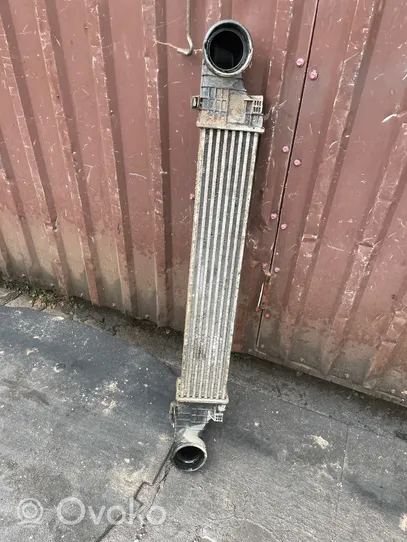 Mercedes-Benz CLS C219 Intercooler radiator A2115002602