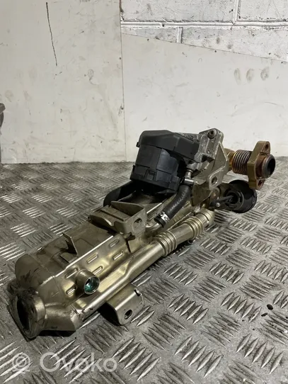 BMW 4 F32 F33 EGR aušintuvas 8476993