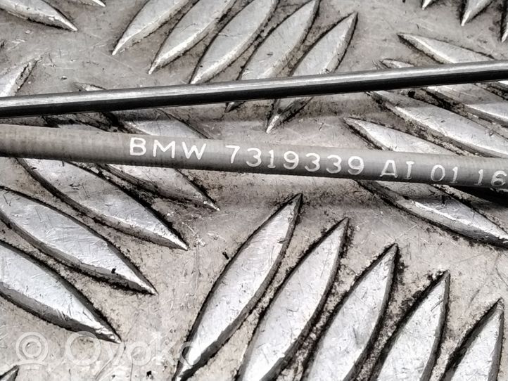 BMW X6 E71 Câble de porte arrière 7319339