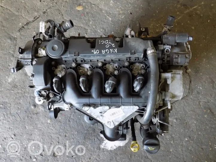 Ford Kuga I Moteur D4204T