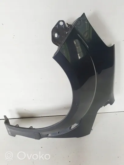 Ford S-MAX Fender 