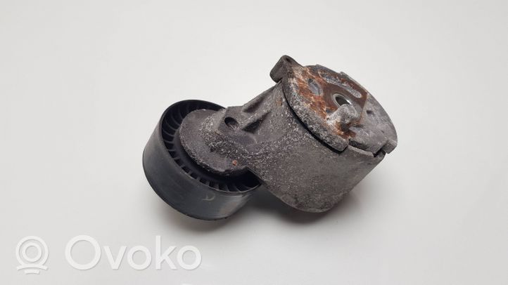 Citroen Nemo Napinacz paska alternatora 55222539