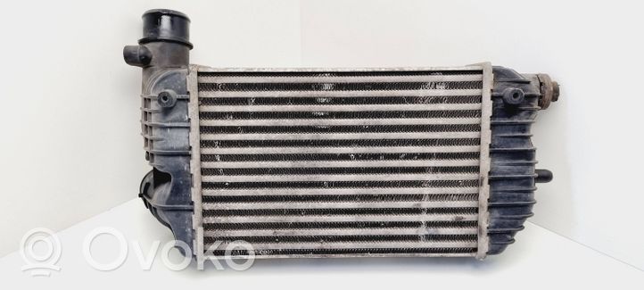 Citroen Jumper Starpdzesētāja radiators 1307012080