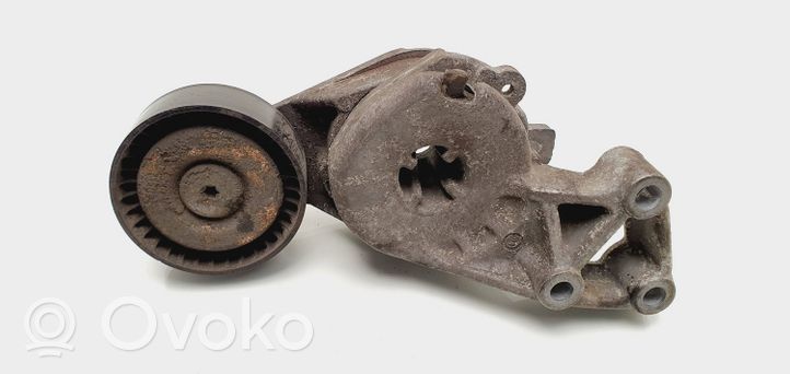 Volkswagen PASSAT B6 Napinacz paska alternatora 06A903315F