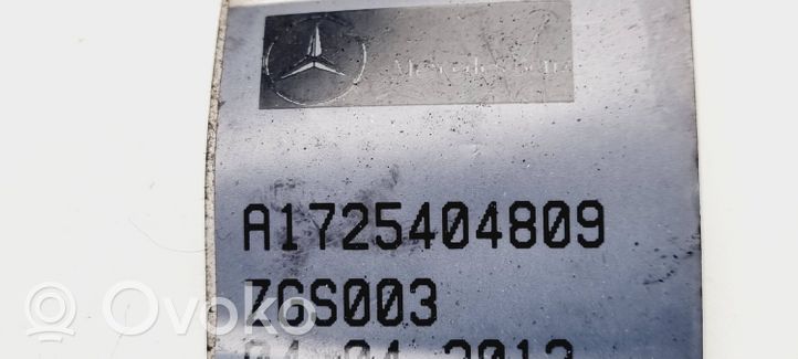 Mercedes-Benz SLC R172 Kabelbaum Leitungssatz Tür vorne A1725404809