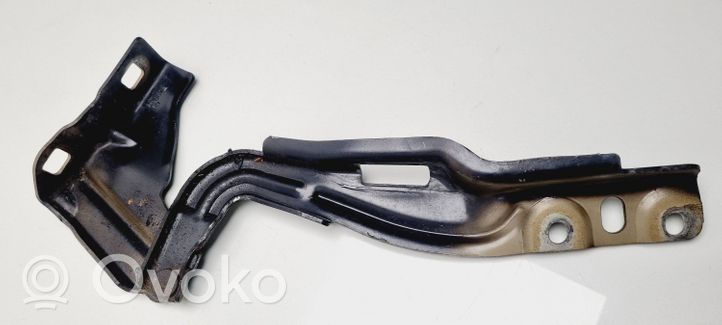 Fiat Bravo Engine bonnet/hood hinges 