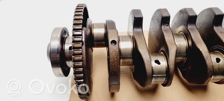 Volkswagen PASSAT B5 Crankshaft 050105189C