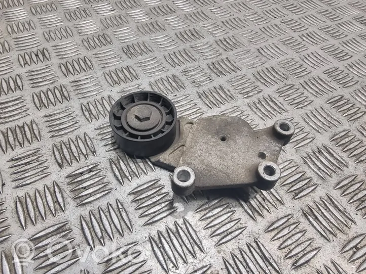 Citroen C3 Picasso Napinacz paska alternatora 1fl1tf049f