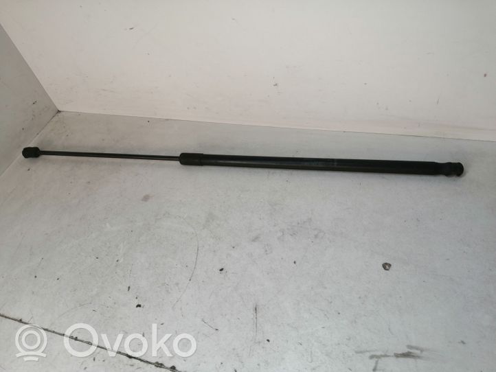 Volkswagen PASSAT CC Ammortizzatore portellone anteriore/cofano 3C882335901S