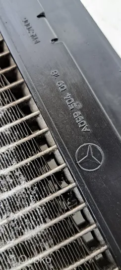 Mercedes-Benz GLE (W166 - C292) Radiateur condenseur de climatisation A09950002