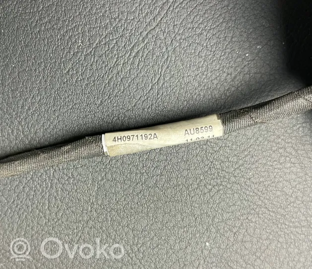 Audi A8 S8 D4 4H Kamera noktowizyjna 4H0998552