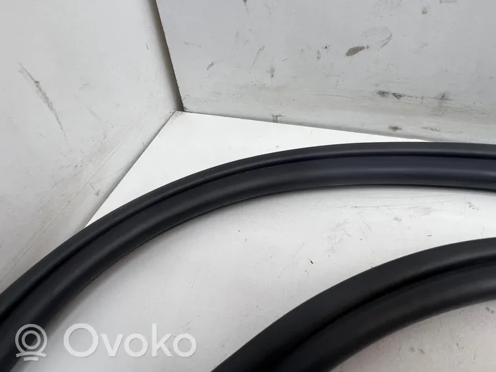 Audi A4 S4 B8 8K Front door rubber seal 