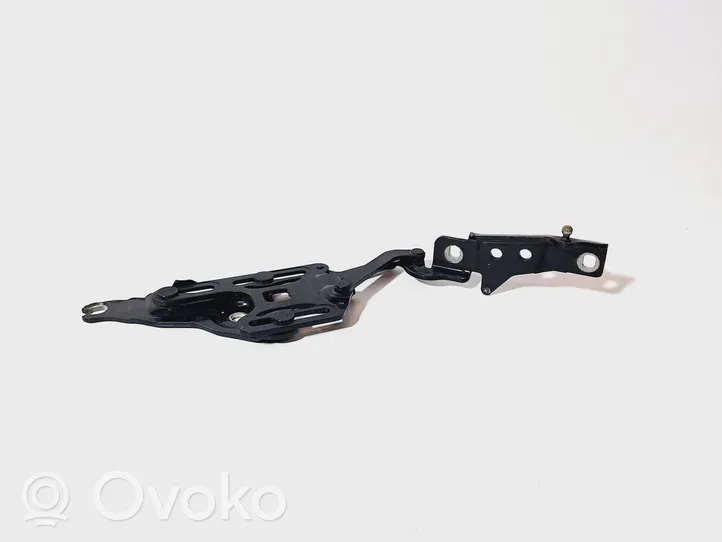 BMW X5 E70 Cerniere del vano motore/cofano 714834710