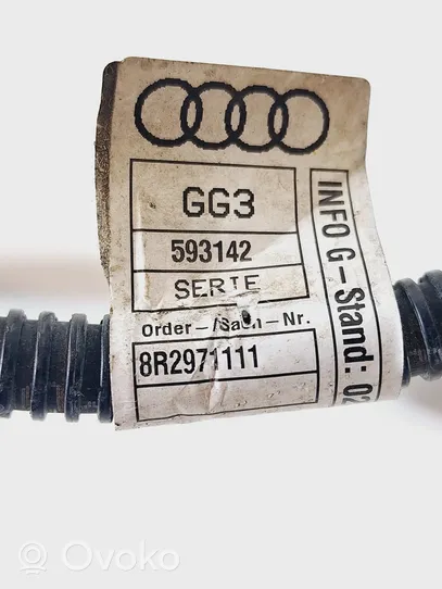 Audi Q5 SQ5 Otros cableados 8R2971111