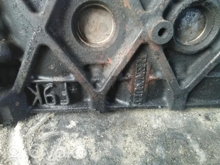 Opel Vivaro Engine block F9K