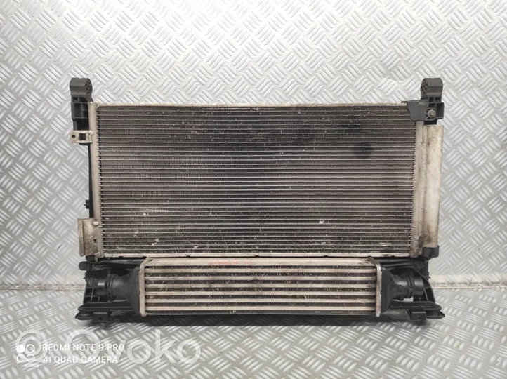 Fiat Punto (199) Radiateur de refroidissement 