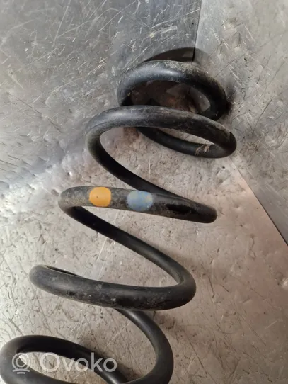 Volkswagen Golf VI Rear coil spring 