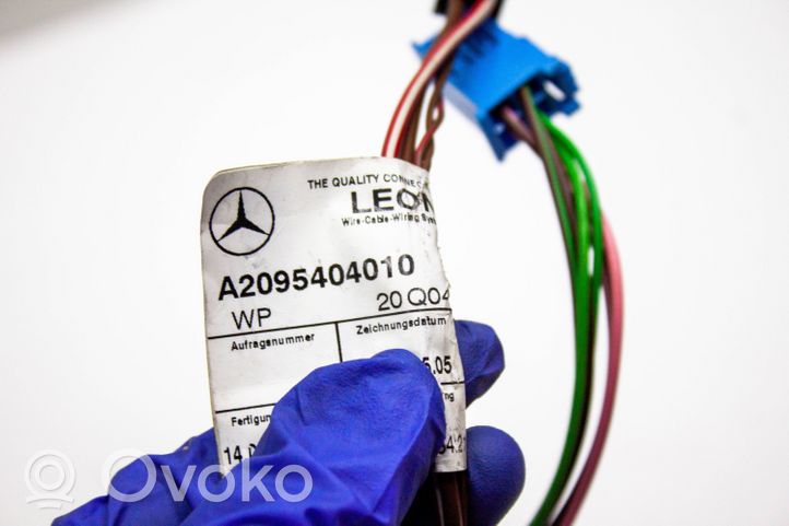 Mercedes-Benz CLK A209 C209 Проводка передних дверей 2205453928