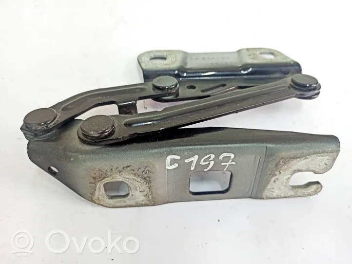 Mercedes-Benz R W251 Cerniere del vano motore/cofano A2518800128