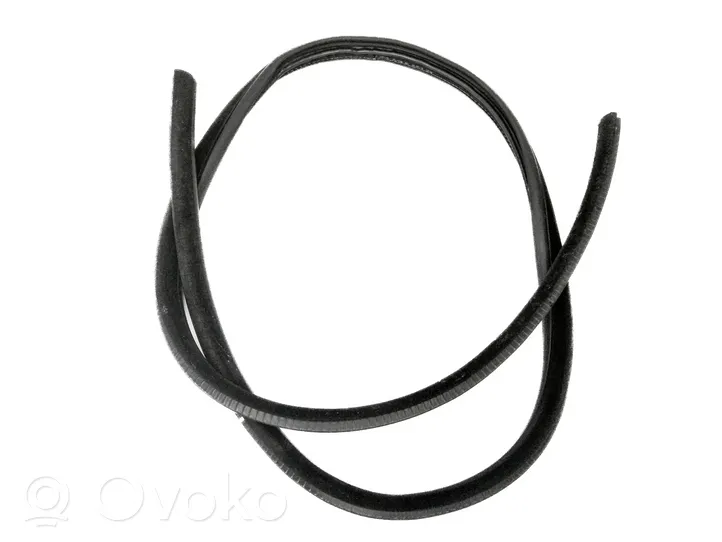 BMW 3 E92 E93 Front door rubber seal DP20515