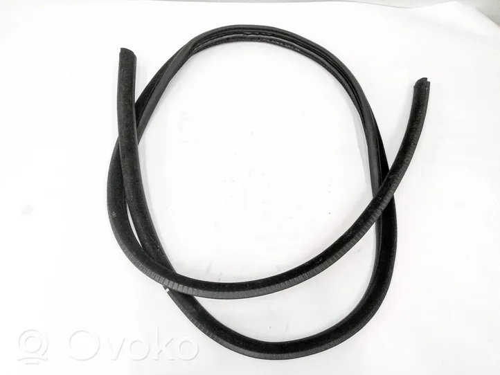 BMW 3 E92 E93 Front door rubber seal DP20515