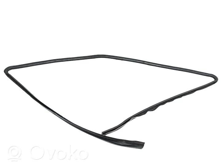 BMW 3 E92 E93 Rubber seal front coupe door window 22339910
