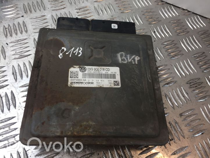 Volkswagen PASSAT B6 Sterownik / Moduł ECU 03G906018CD