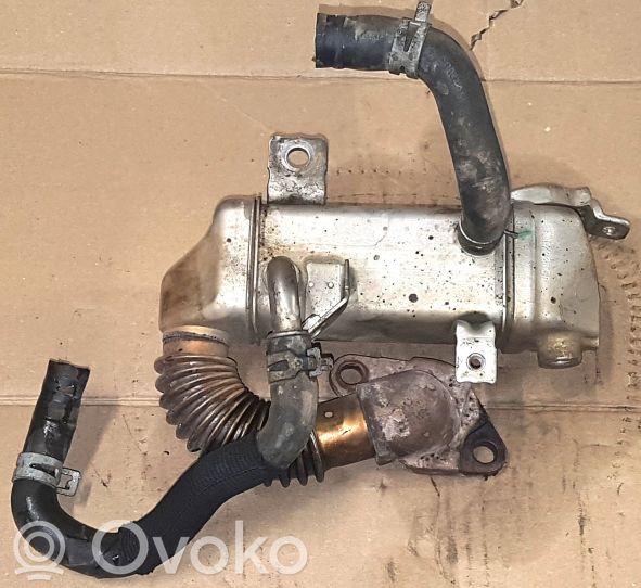 Raffreddatore EGR 2.5 DCI Per Nissan Cabstar 2006-2013 - TBVPARTS - Foto 6