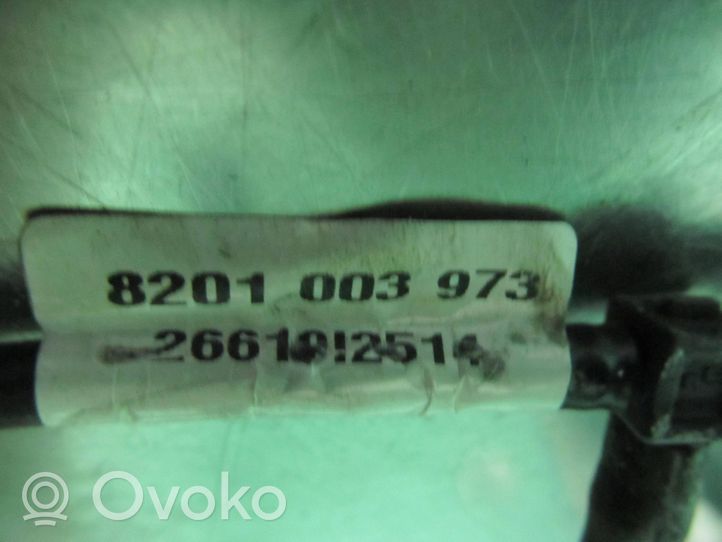 Nissan Qashqai Degalų vamzdelis (-ai)/ žarna (-os) 8201003973