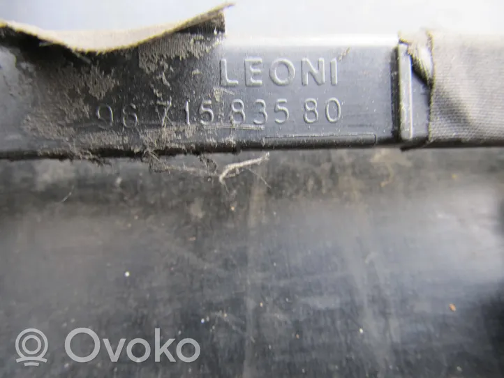 Citroen C4 II Pakaitinimo žvakių laidai 9671583580