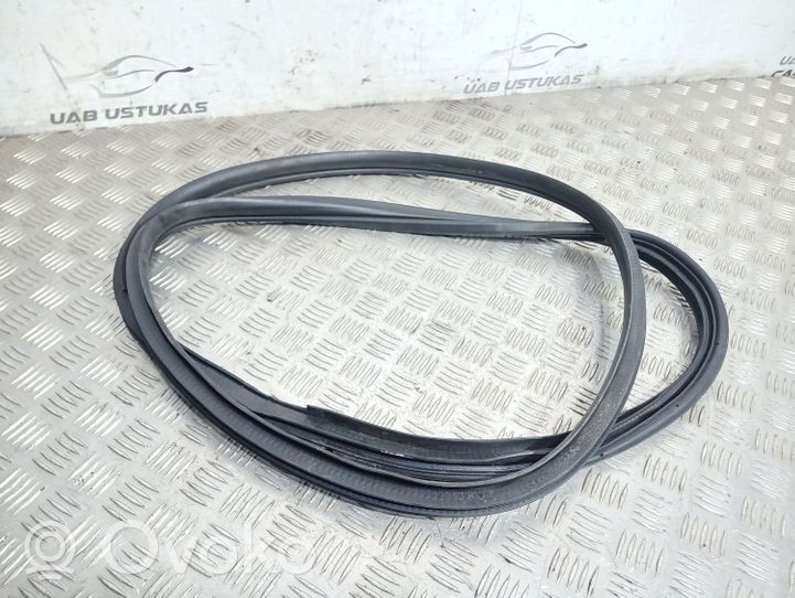 Mitsubishi Outlander Rear door rubber seal (on body) 